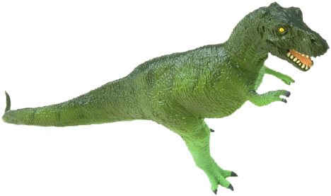Tyrannosaurus rex picture 7