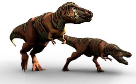 Tyrannosaurus rex picture 11