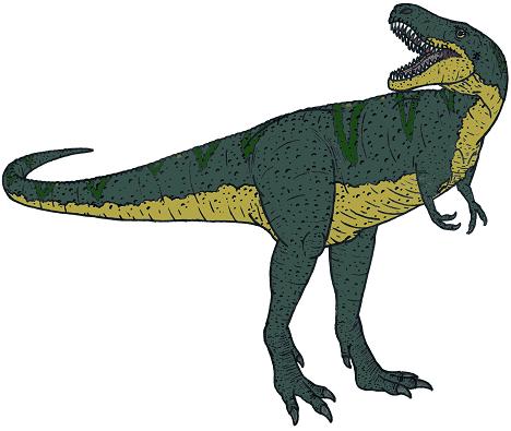 Tyrannosaurus rex picture 8